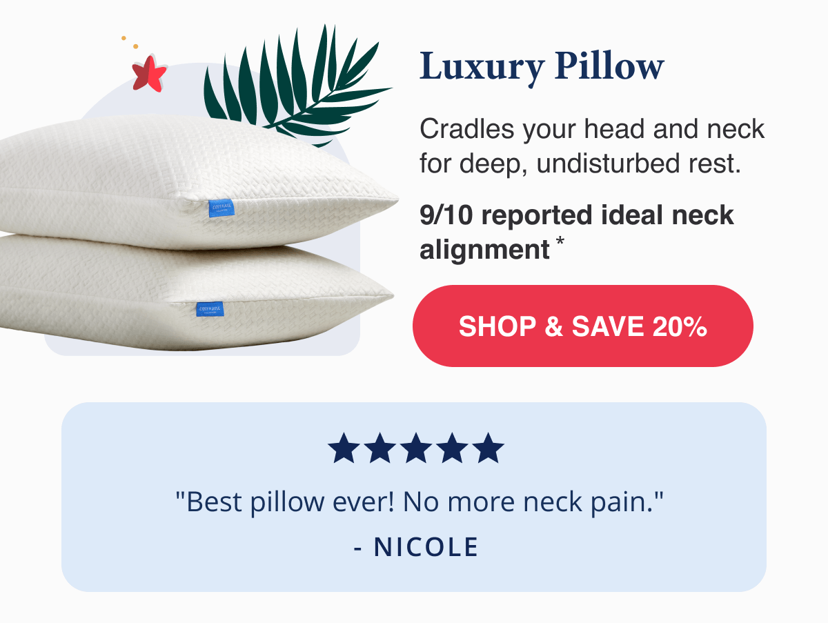 Luxury Pillow
