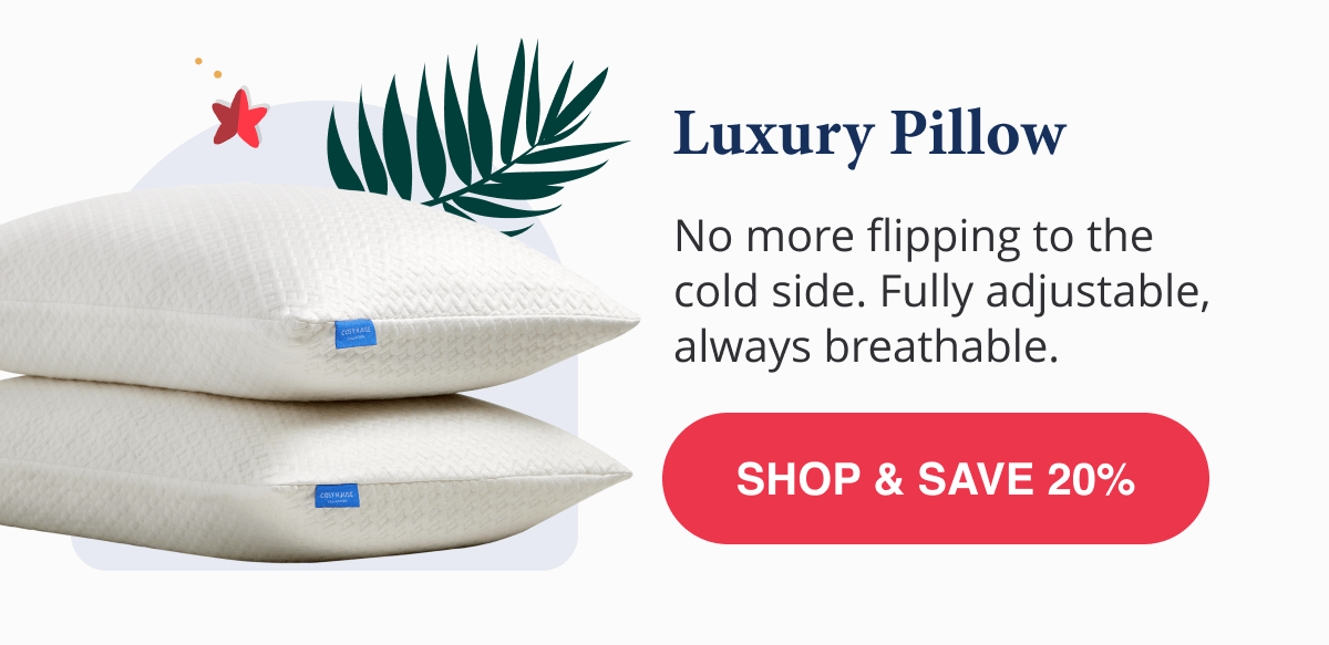 Luxury Pillow 