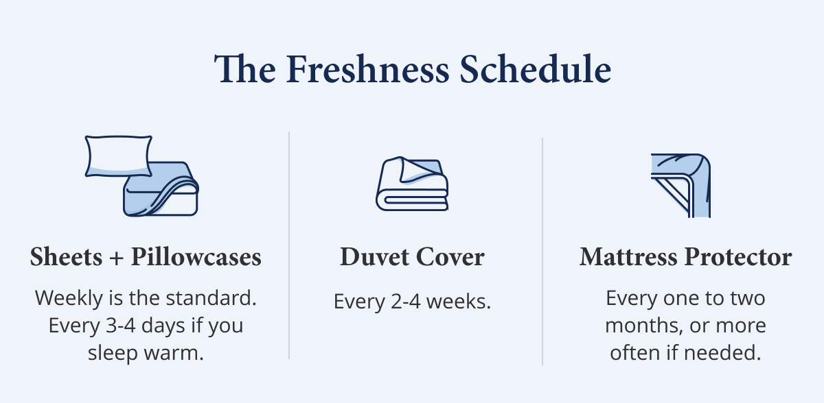 The Freshness Schedule