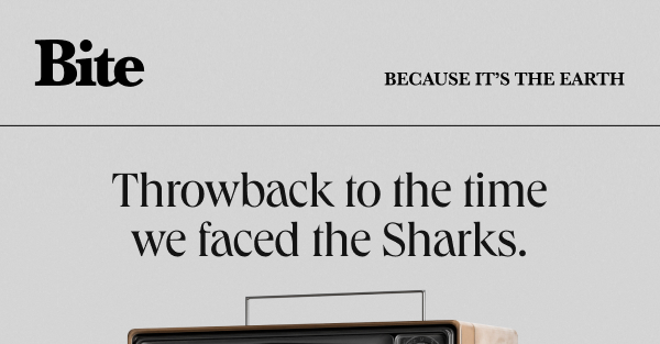 Throwback to Shark Tank