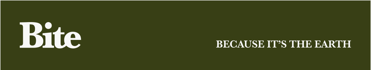 Gift the gift of good.