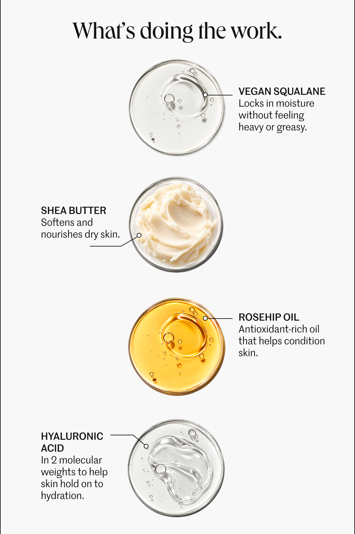 Shop Body Balm