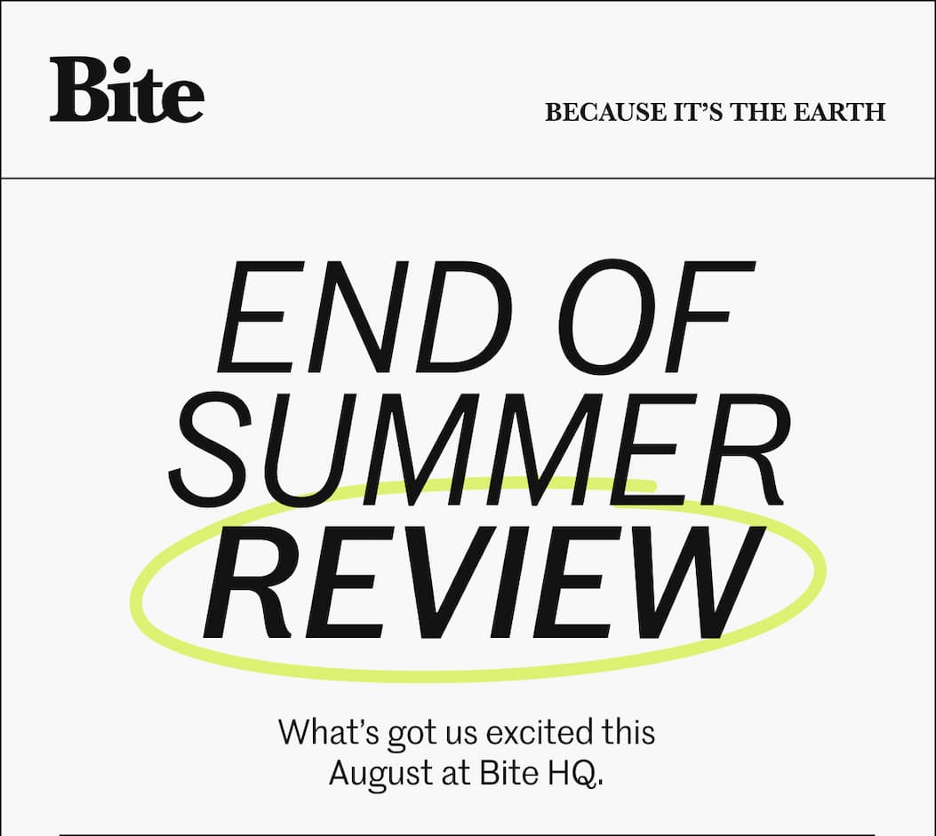 End of summer review End of summer review