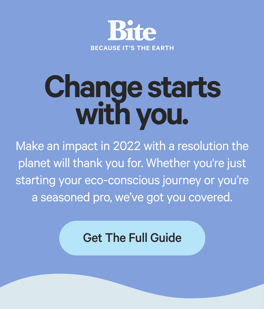 Make an impact in 2022 with a resolution the planet will thank you for.