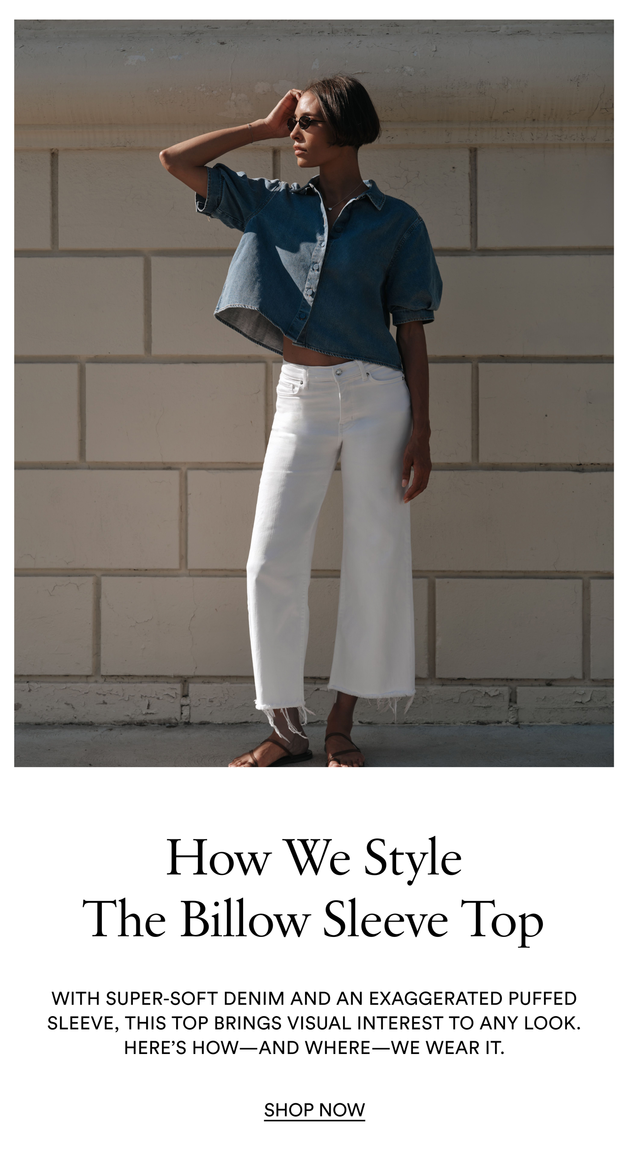 Shop Now