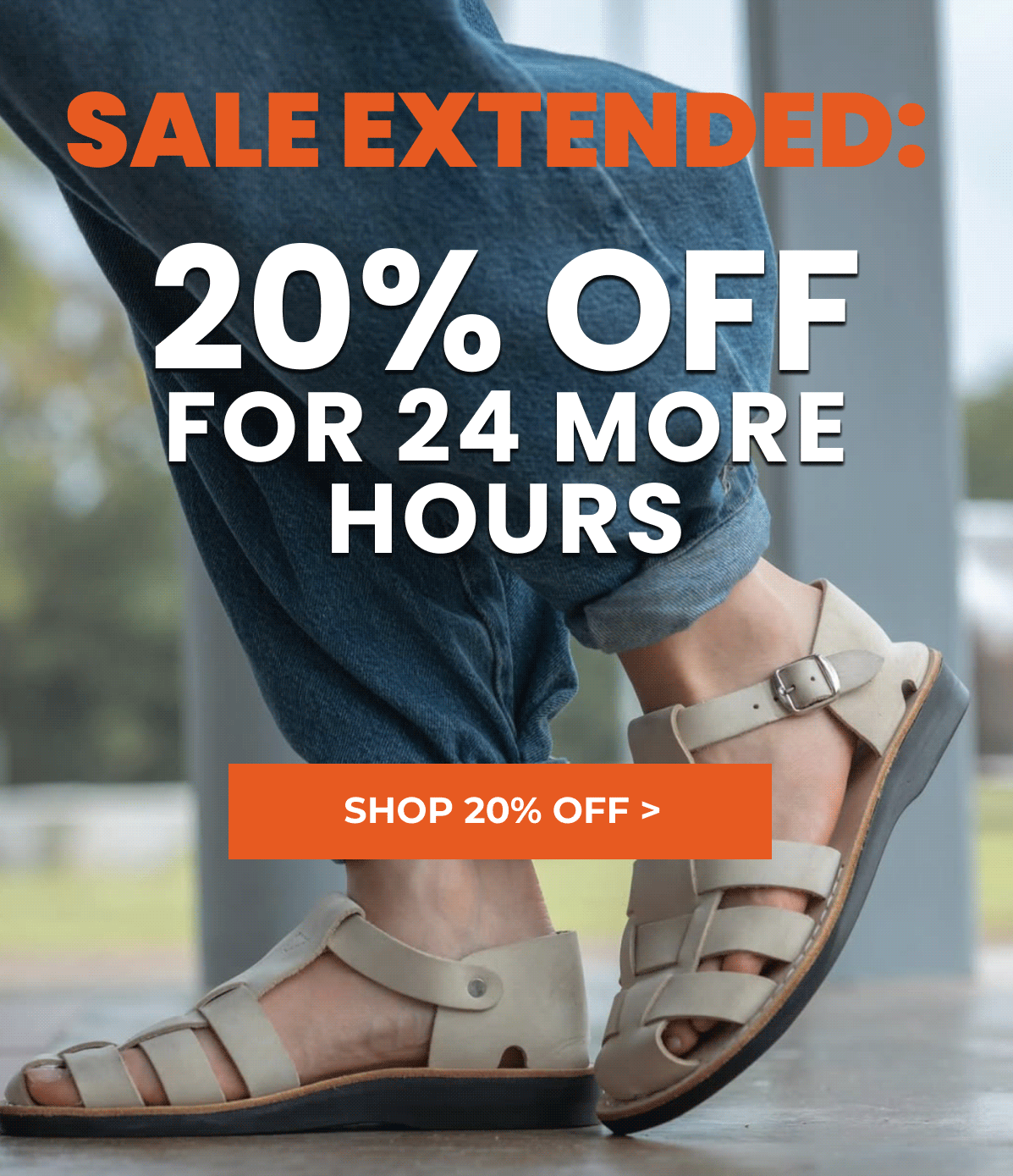 SALE EXTENDED: 20% OFF FOR 24 MORE HOURS