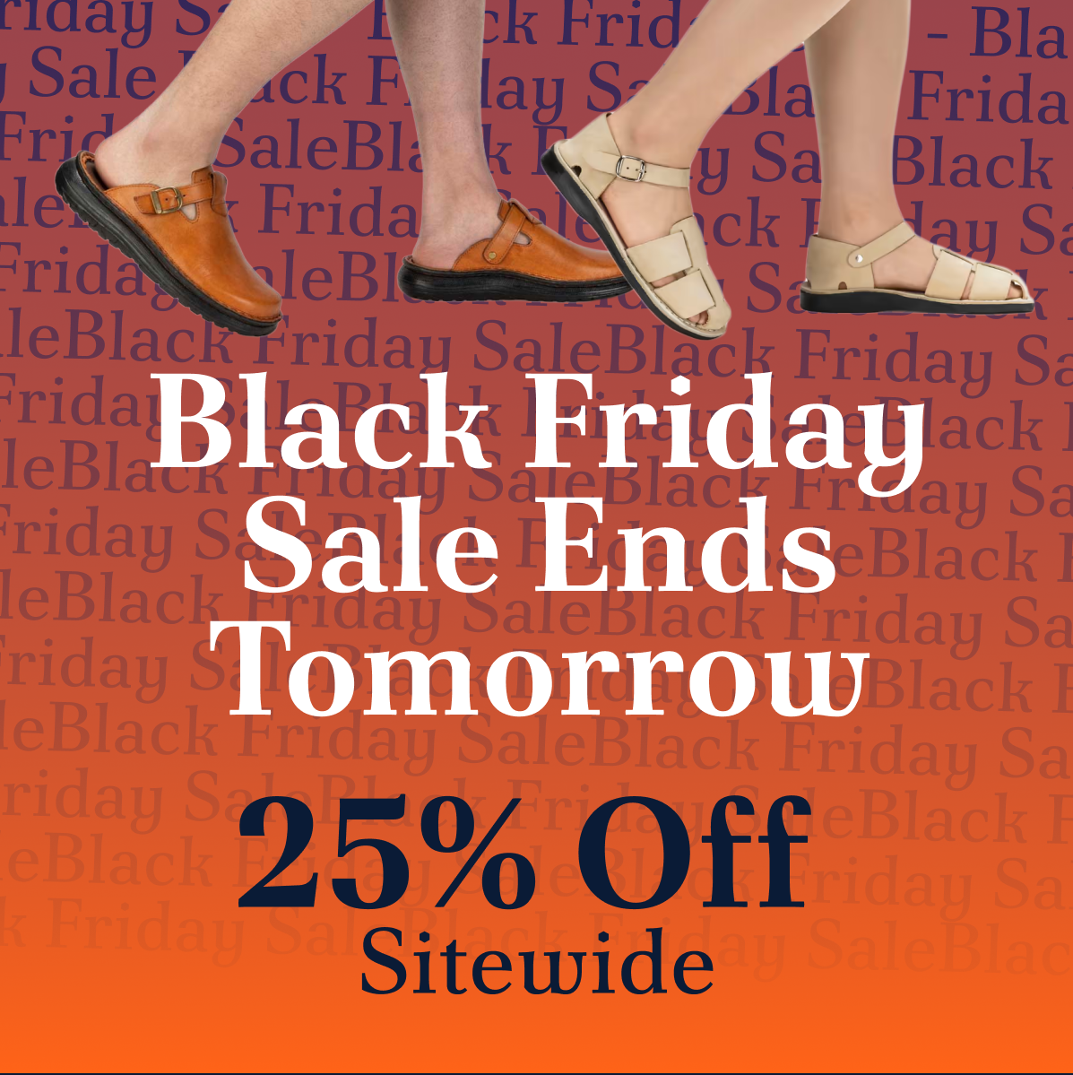 Black Friday Sale Ends Tomorrow