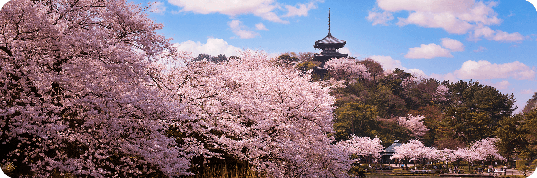 Una primavera magica a Kyoto