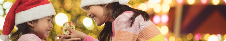 Viaggia con Holafly in Giappone