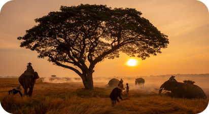 Quando andare in Sudafrica