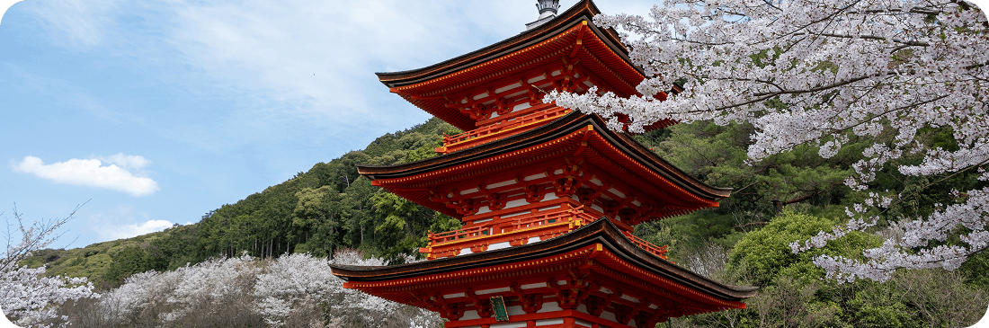 Compra con il 7% di sconto