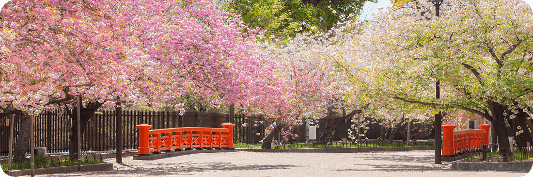 Destinazione del mese di Holafly: Giappone