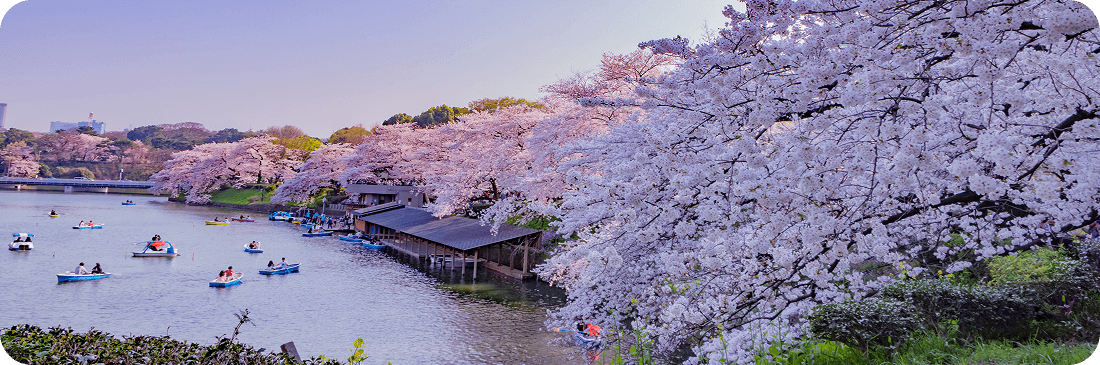 Destinazione del mese di Holafly: Giappone