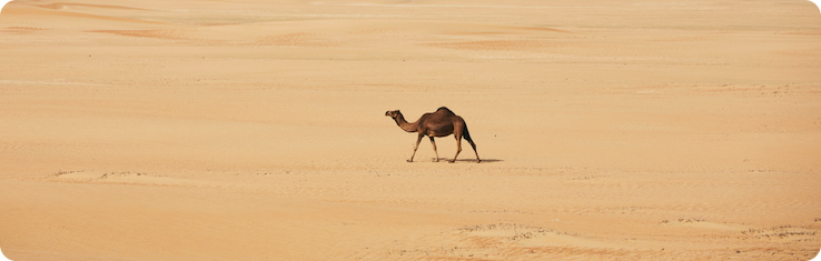 Destinazione del mese di Holafly: Emirati Arabi Uniti