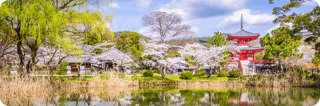 Destinazione del mese di Holafly: Giappone