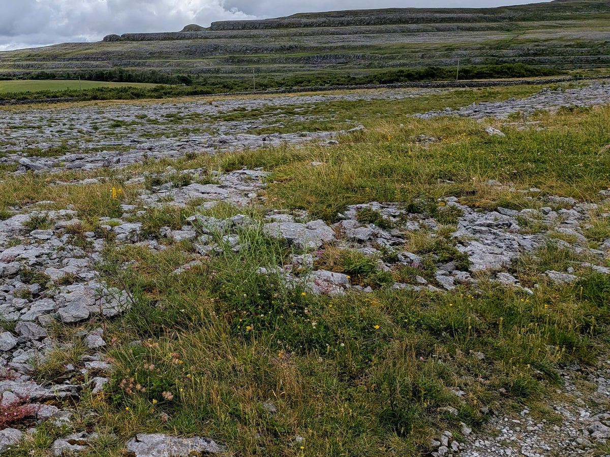 The limestone landscape of the Burren