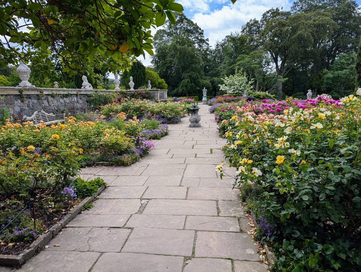 The rose terraces at Bodnant Garden