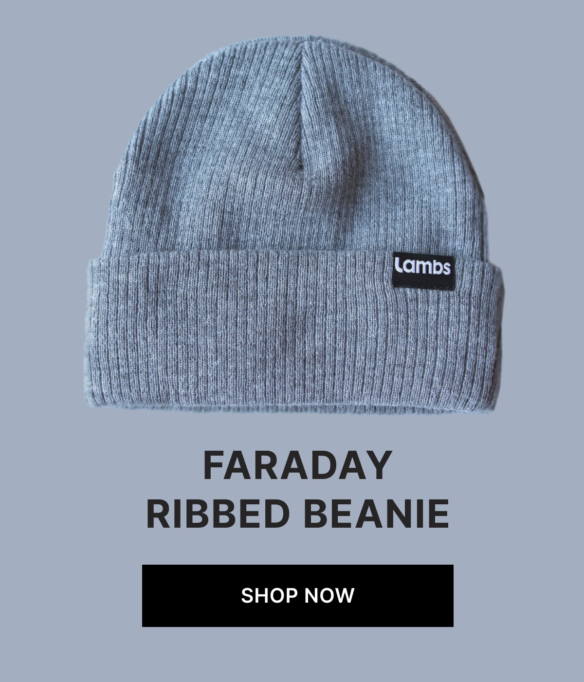 Faraday Ribbed Beanie