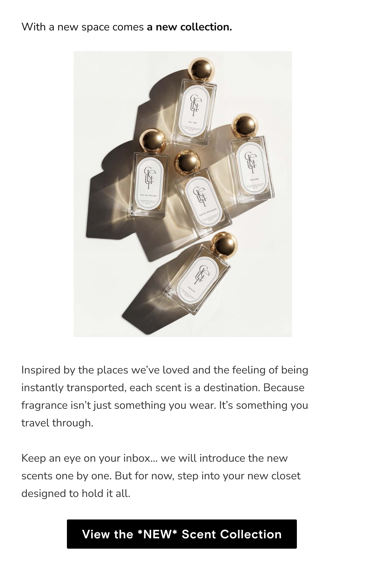 Check out the new collection