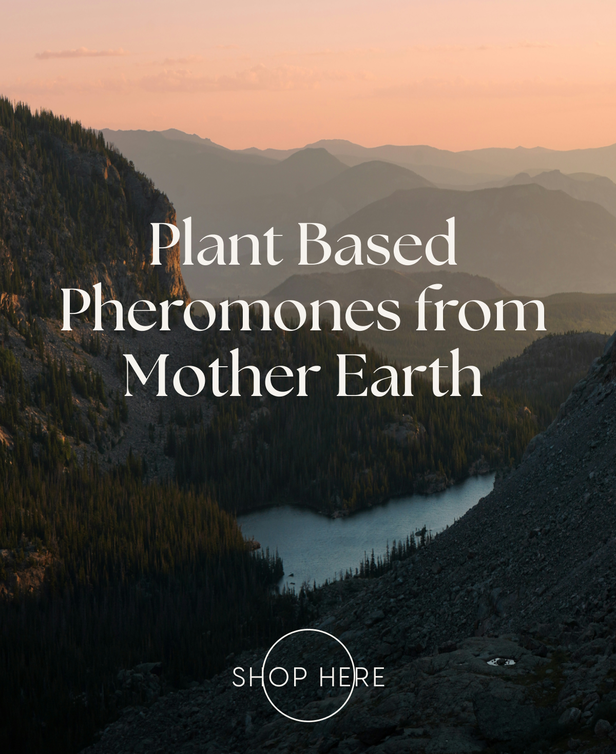 Plant Based Pheromones from Mother Earth