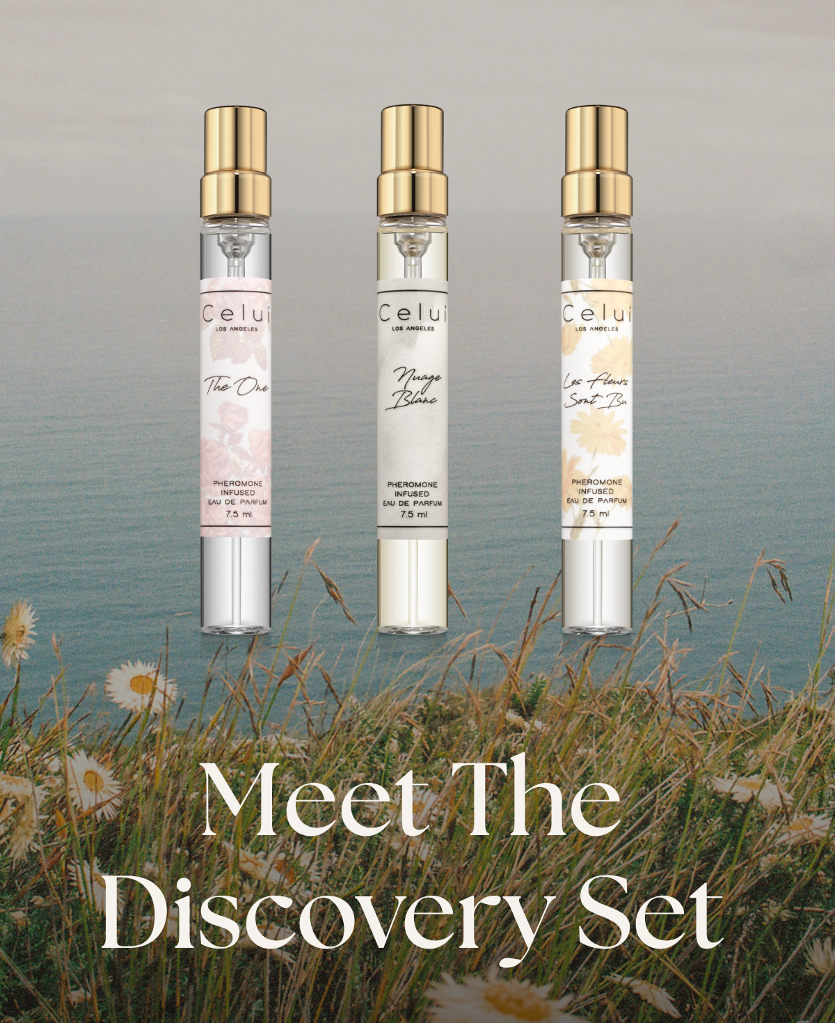 Meet The Discovery Set