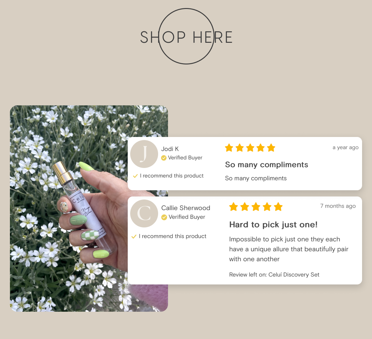 Shop The Discovery Set