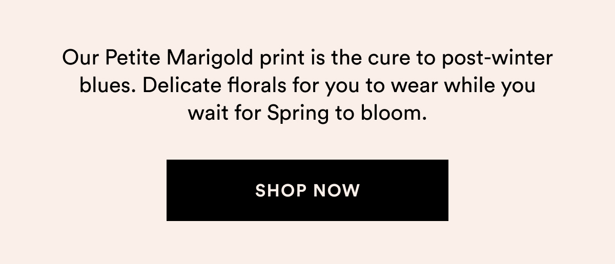 SHOP NOW >>