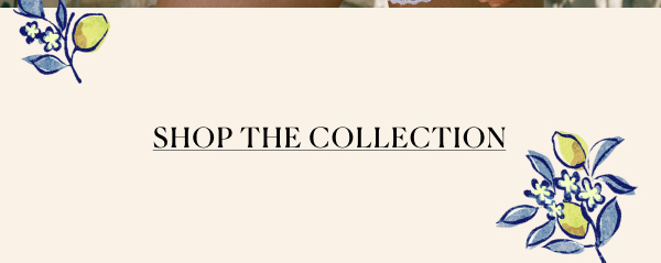 SHOP THE COLLECTION >>