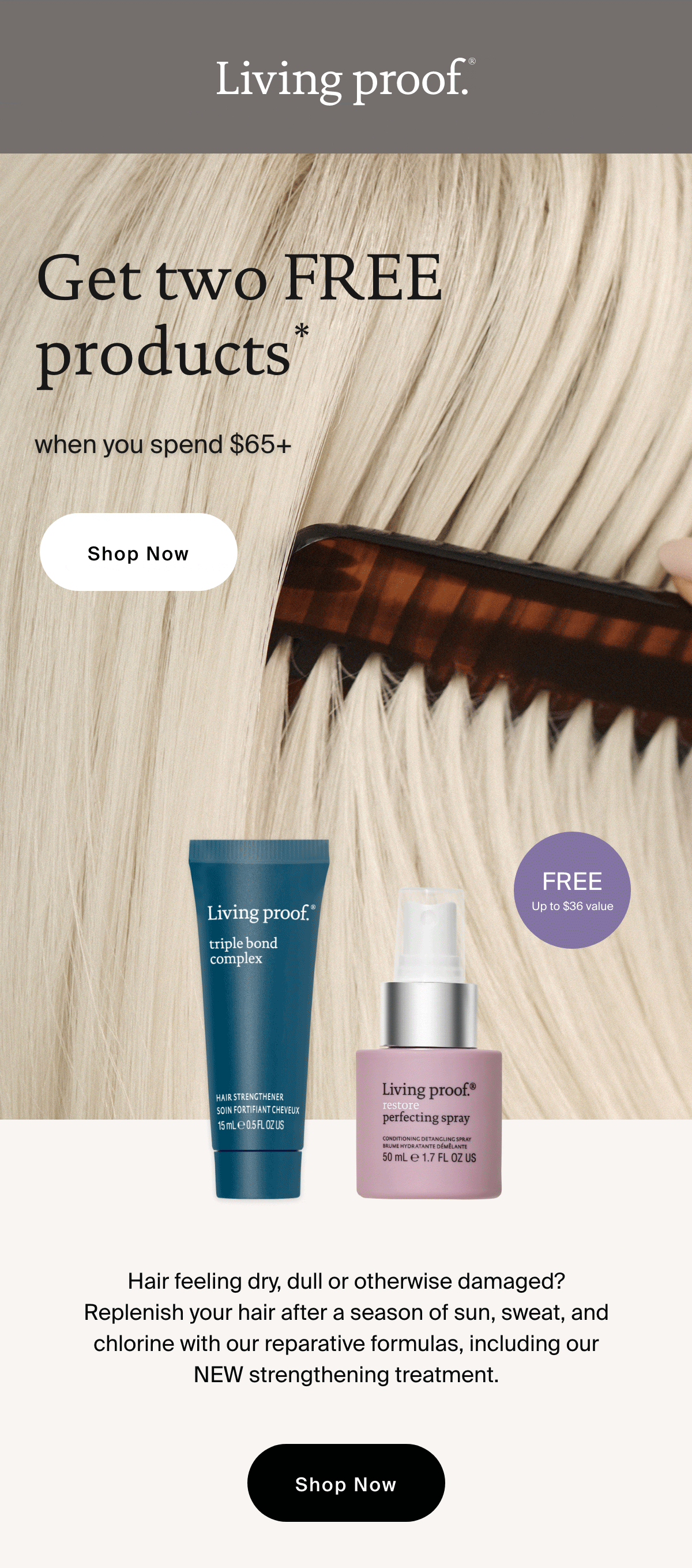 Ends Soon ⏰ Living Proof