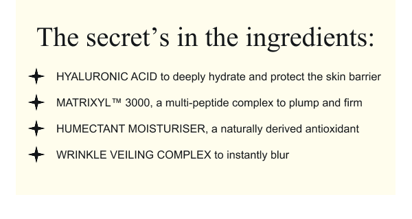 THE SECRET INGREDIENTS