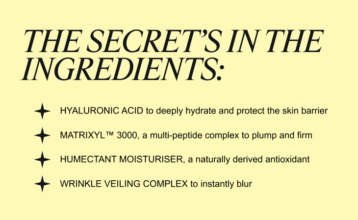 THE SECRET INGREDIENTS