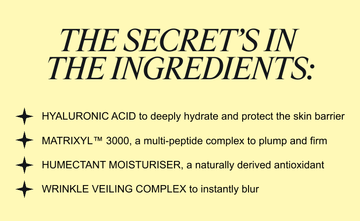 THE SECRET INGREDIENTS