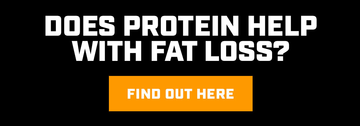 Does Protein Help You Lose Fat? - Title