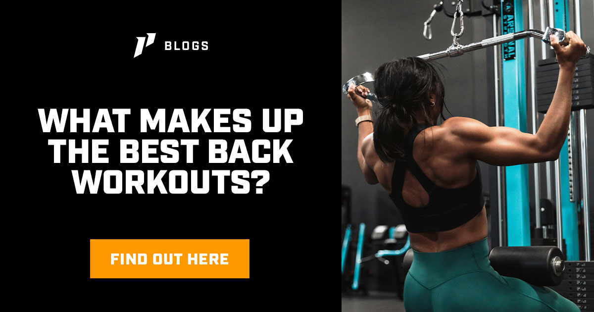 What Makes Up The Best Back Workouts?