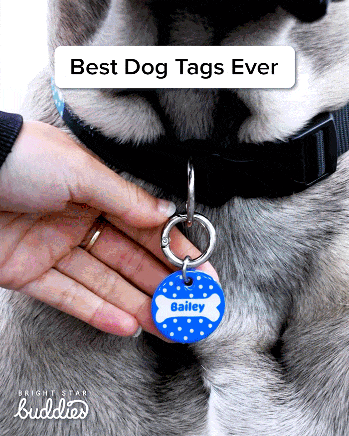 Best Dog Tags Ever 🐶 Bright Star Buddies