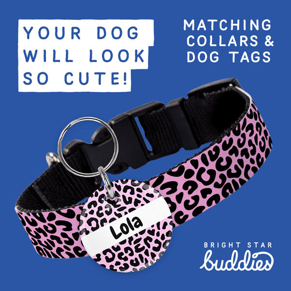 What's your combo? 🤔 Bright Star Buddies