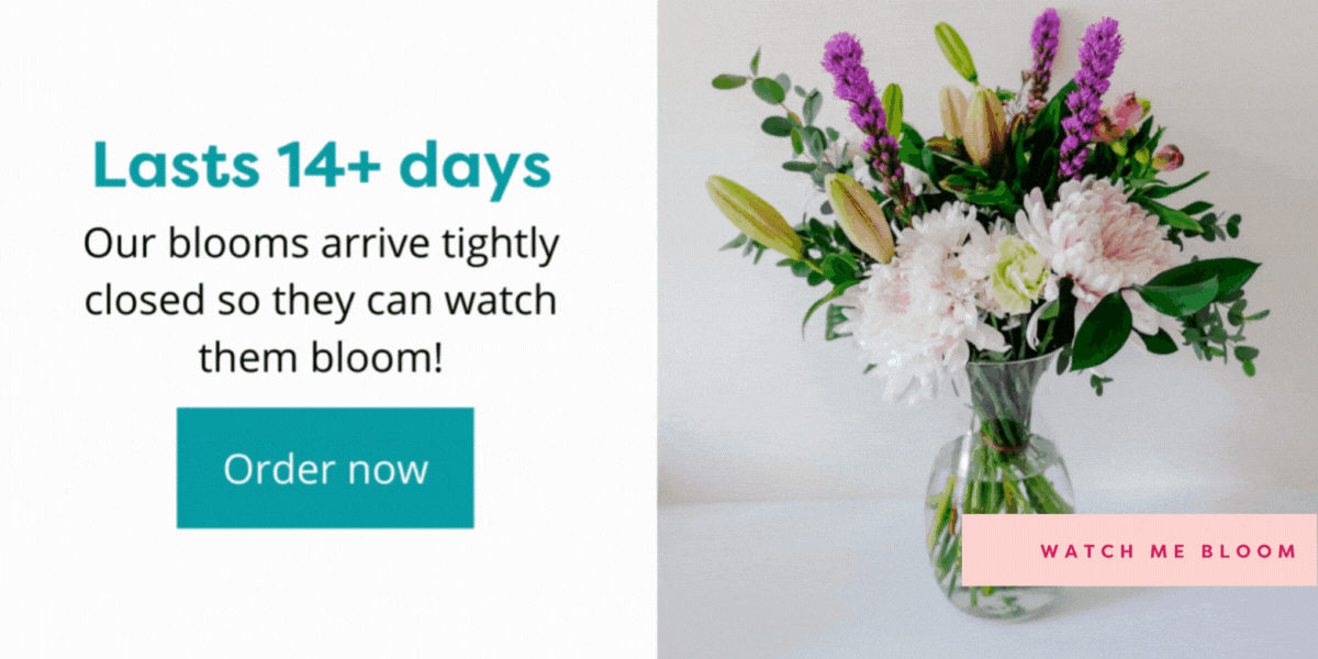 Hydrangeas are here for a limited time 💕 Callia Flowers