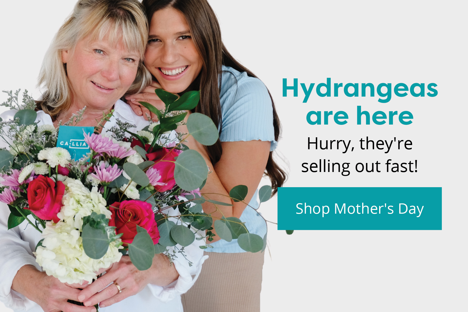 Hydrangeas are here for a limited time 💕 Callia Flowers