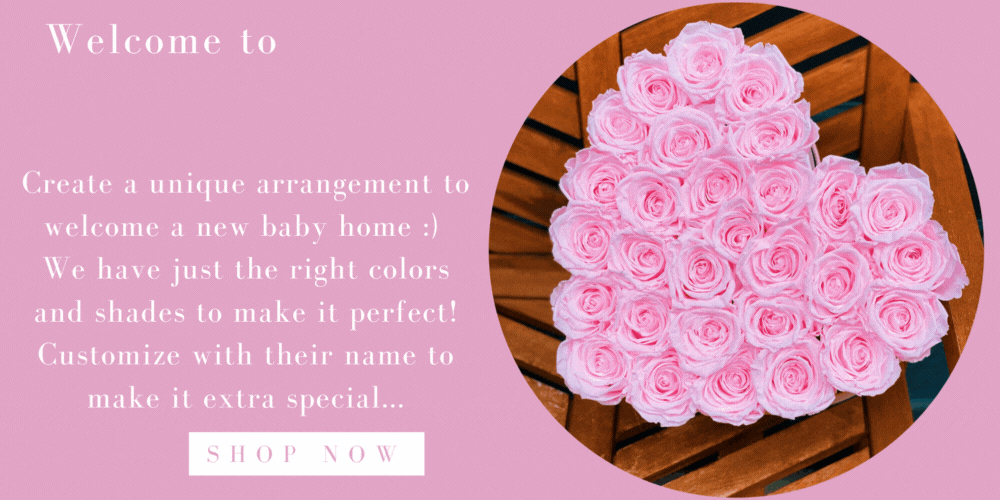 It's a Boy! 🐥 Rose Box NYC