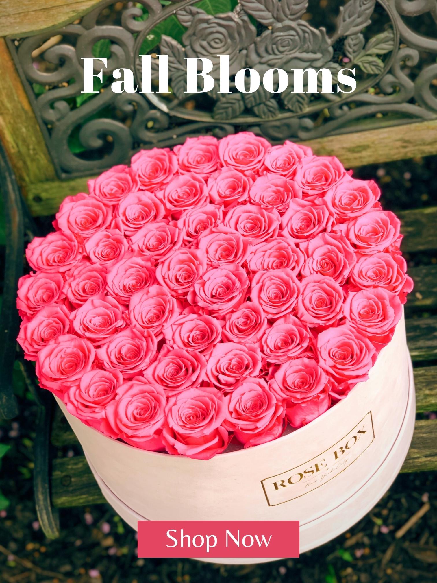 Fresh Styles for Fall 🍁 Rose Box NYC