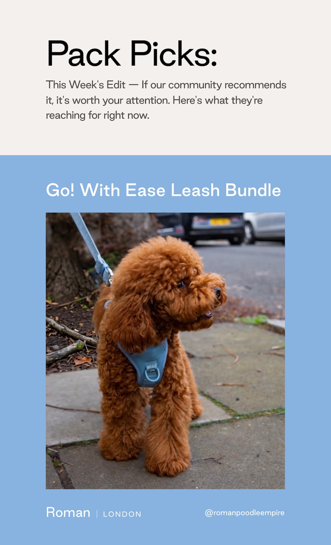 Shop our bestselling leash set