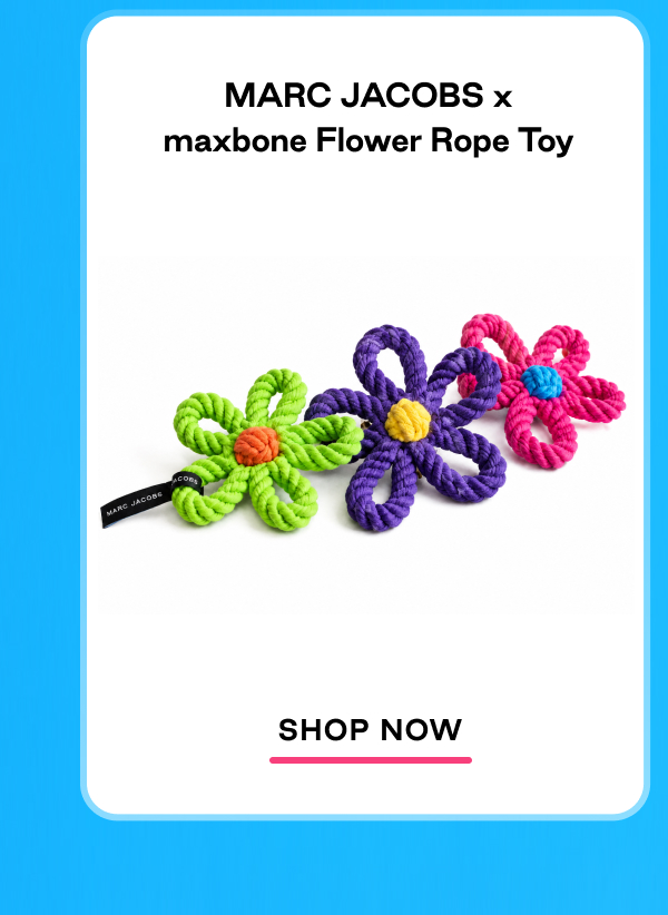 Shop Rope Toy 