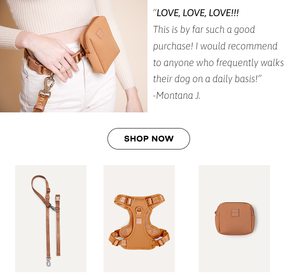 Go! With Ease Leash Bundle Camel