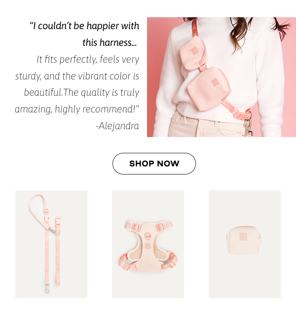 Go! With Ease Leash Bundle Peach