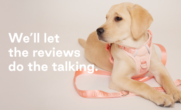 We'll let the reviews do the talking.