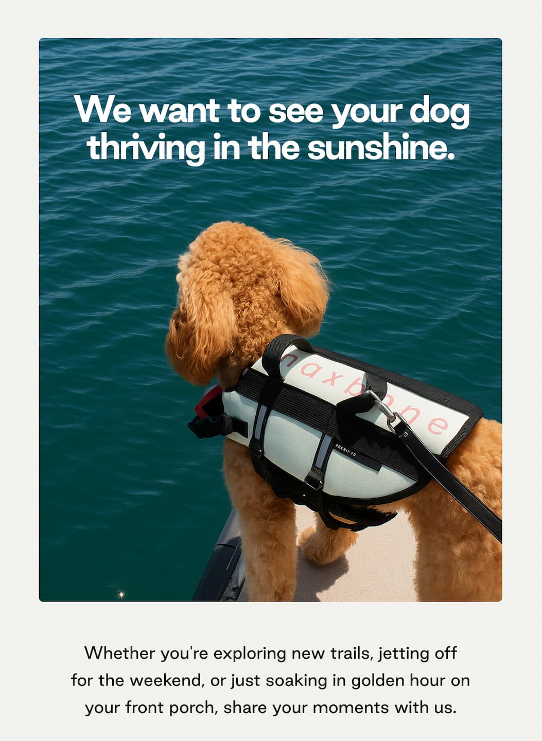 Love Maxbone? Show Us Your Pet & Get Featured!