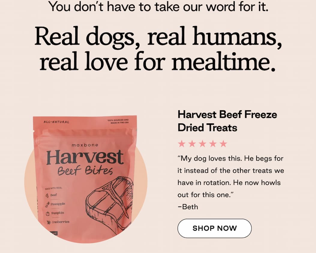 Shop Freeze-dried treats