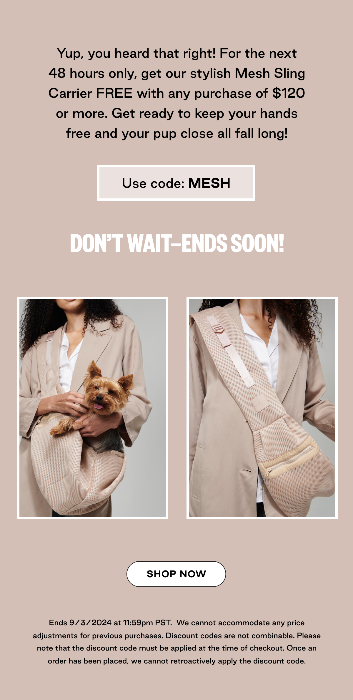 48 hours only 