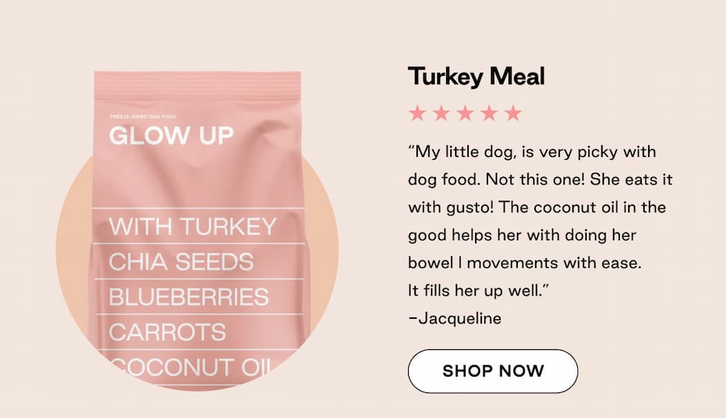 Shop Turkey Meal