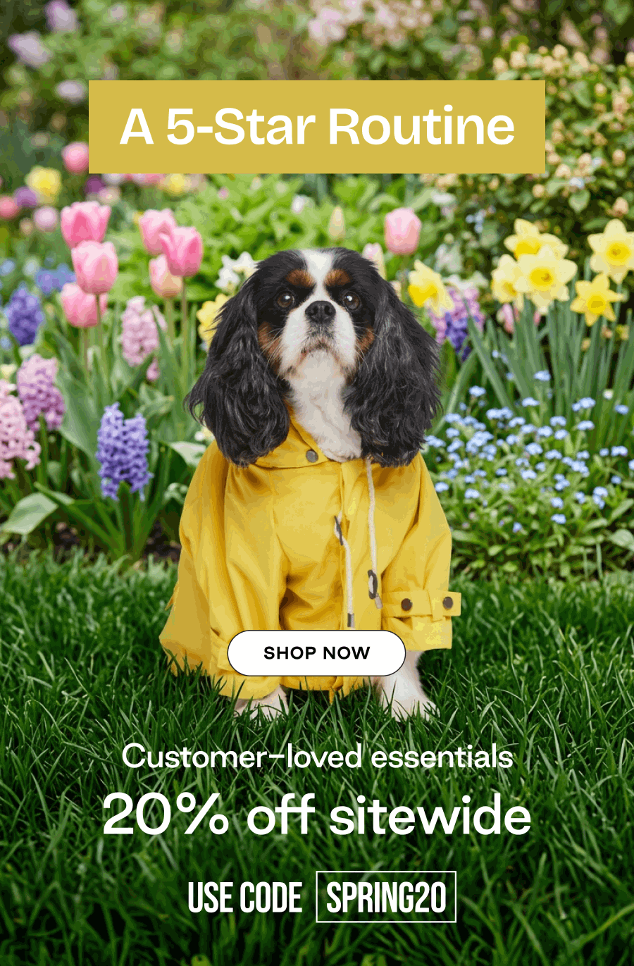 Customer-loved essentials, 20% off